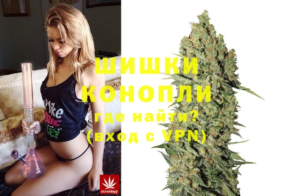 хмурый Верея