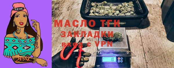 хмурый Верея