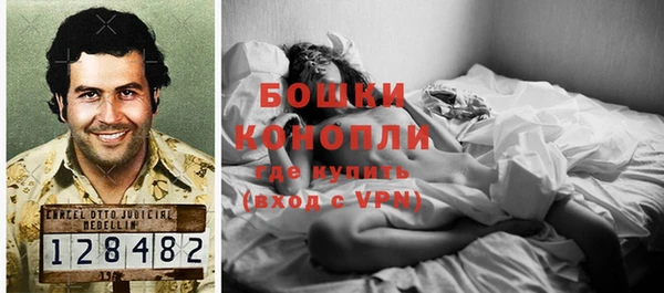 спайс Бородино