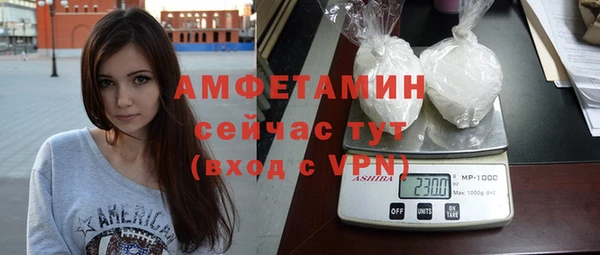 хмурый Верея